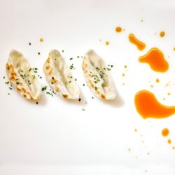 Gyozas de frango e vegetais servidas no Restaurante Chirashi